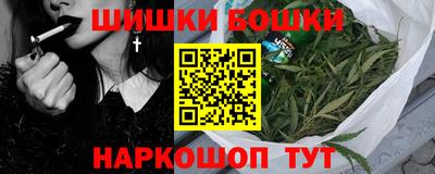 apvp Партизанск