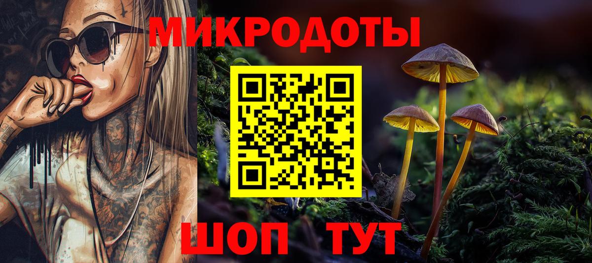 Галлюциногенные грибы Psilocybe  закладка  Рассказово  Вход с VPN 
