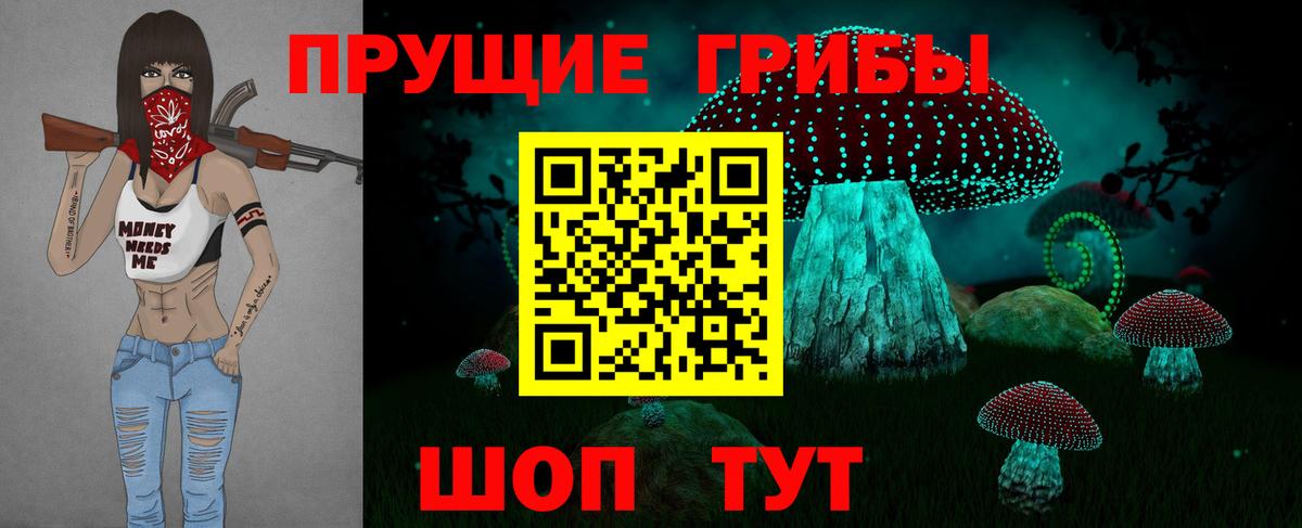 Псилоцибиновые грибы Psilocybine cubensis Рассказово
